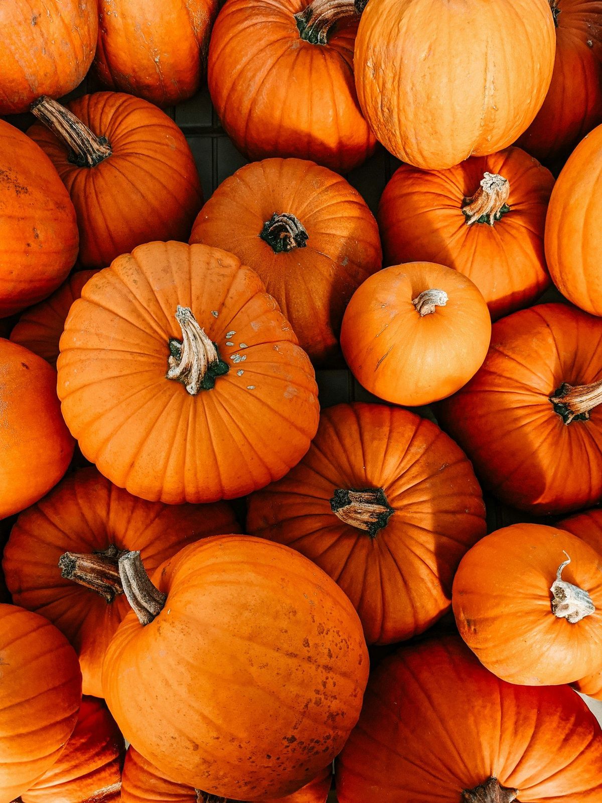 Calabaza