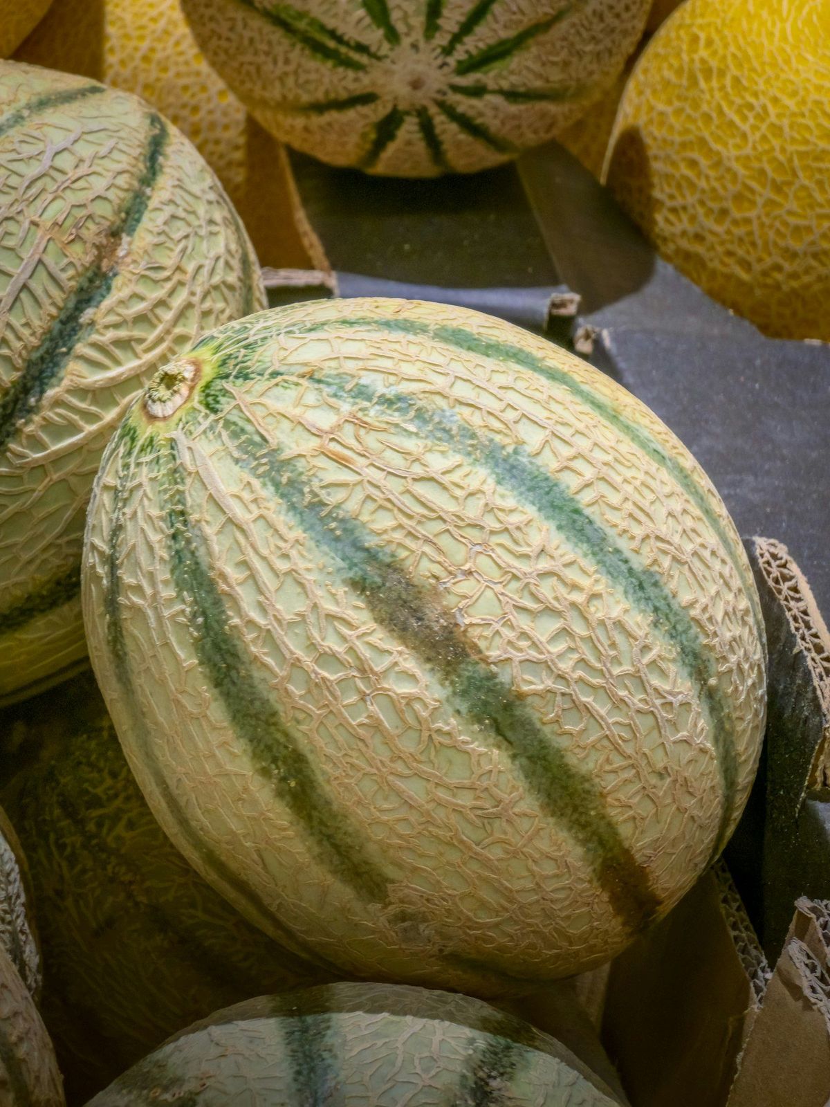 Melón Cantaloup