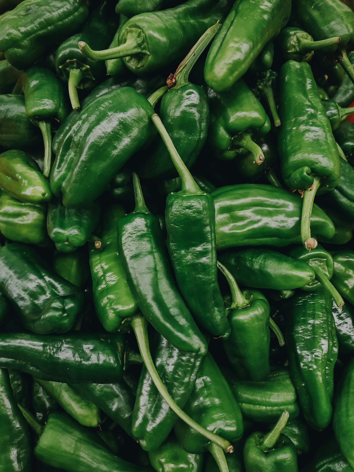Pimiento Padrón
