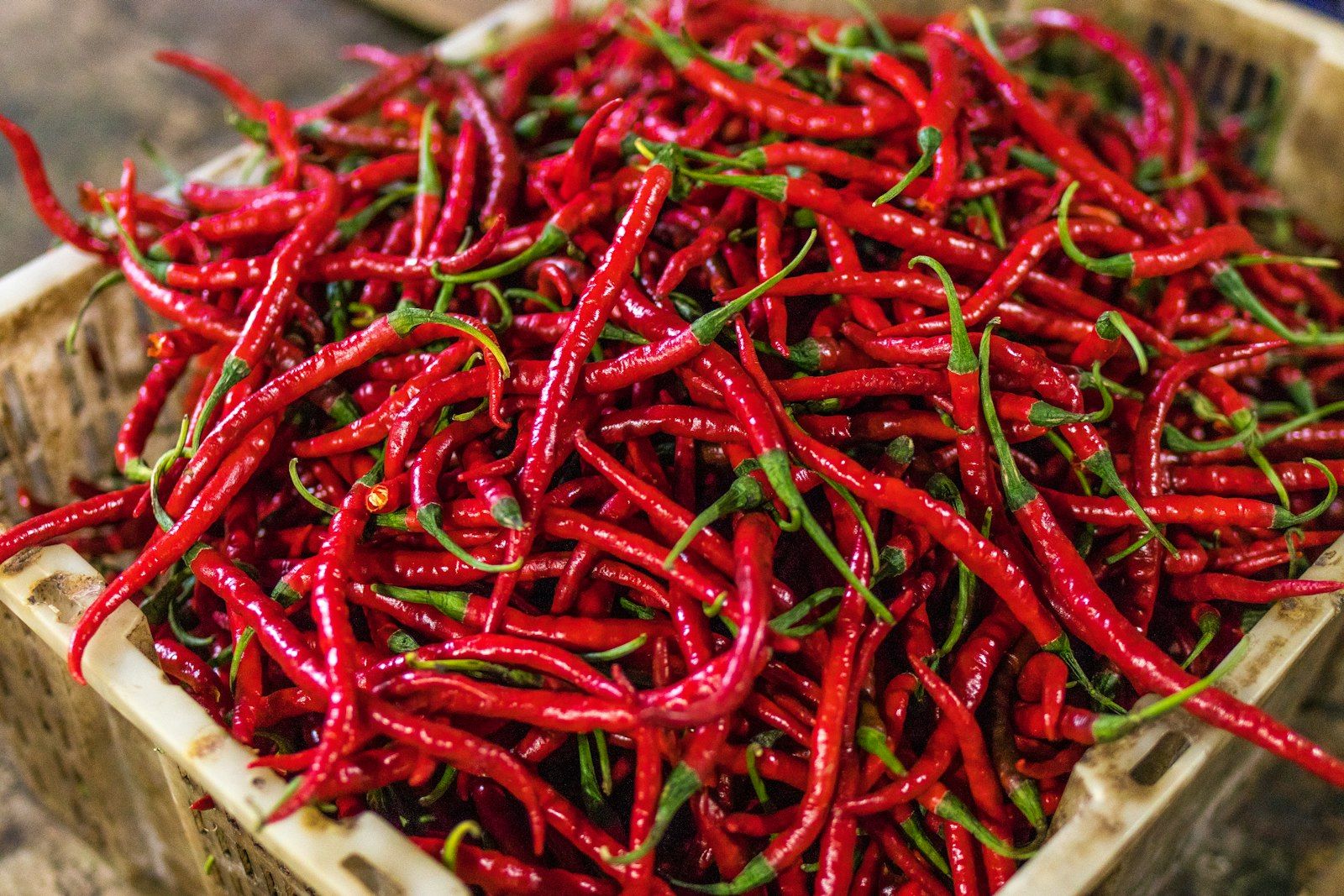 Pimiento Picante