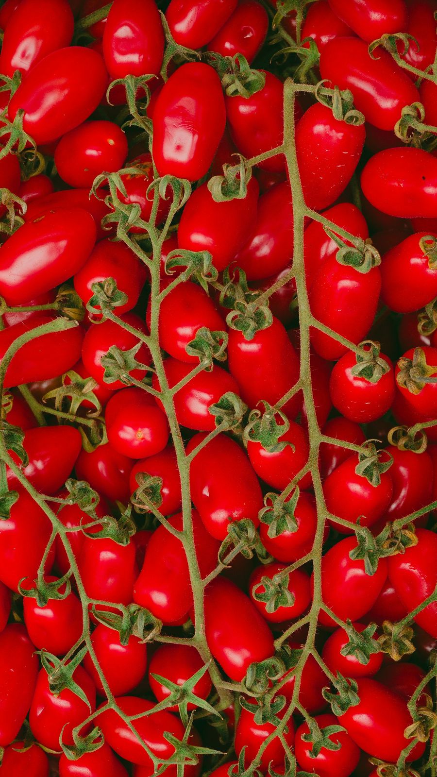 Tomate Cherry pera