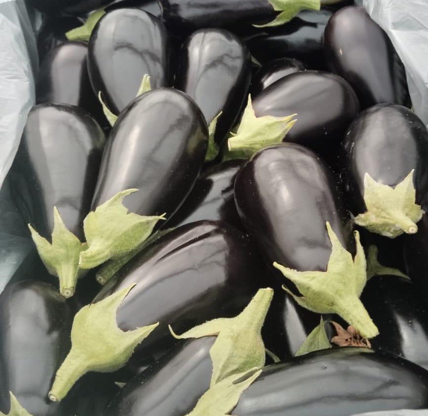 Berenjena