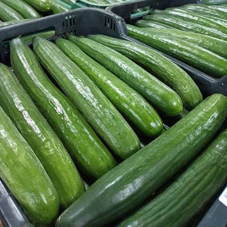 Pepino