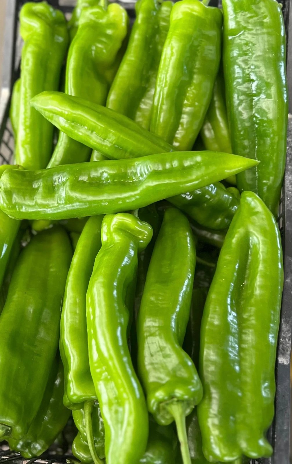 Pimiento Italiano